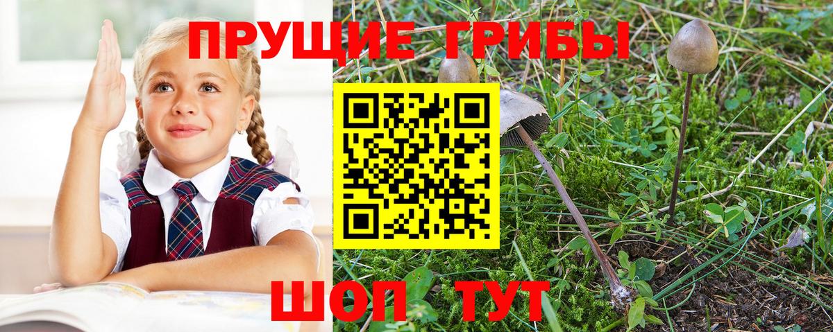 Псилоцибиновые грибы ЛСД Магнитогорск