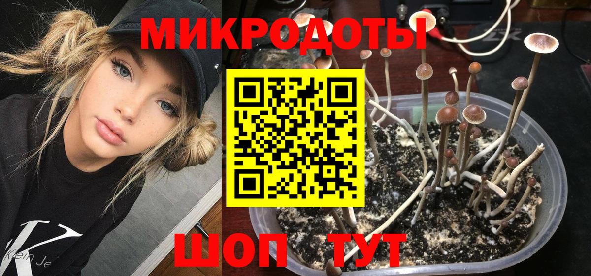 Псилоцибиновые грибы мухоморы  Вход с VPN  Магнитогорск 